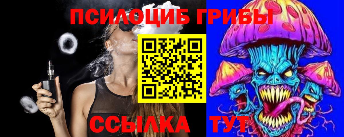 Котовск  Псилоцибиновые грибы GOLDEN TEACHER  Вход с VPN 